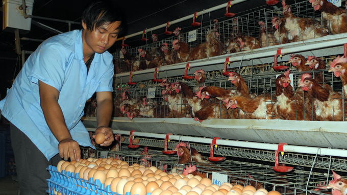Phần mềm kế toán MISA SME – 27 năm số 1 Việt Nam