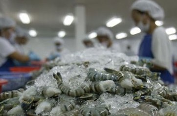 Phần mềm kế toán MISA SME – 27 năm số 1 Việt Nam
