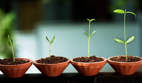Phần mềm kế toán MISA SME – 27 năm số 1 Việt Nam