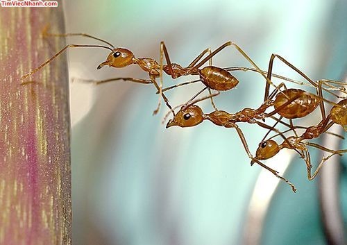Phần mềm kế toán MISA SME – 27 năm số 1 Việt Nam