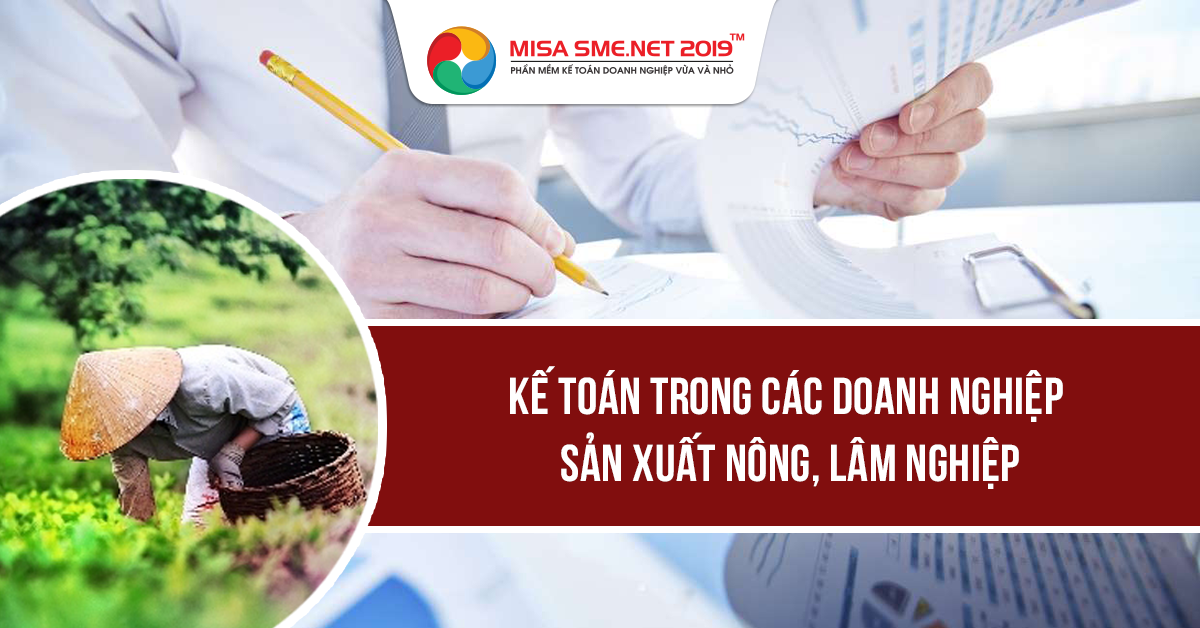 ke-toan-dn-san-xuat-nong-lam-nghiep.png