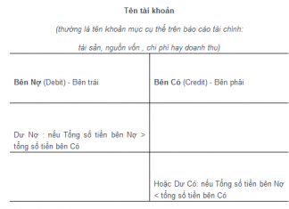 Ứng dụng tài khoản lưỡng tính trong thực tế