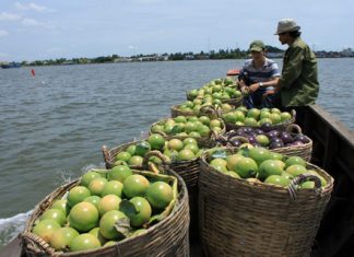 Gỡ nút thắt vốn trong mô hình tổ hợp tác