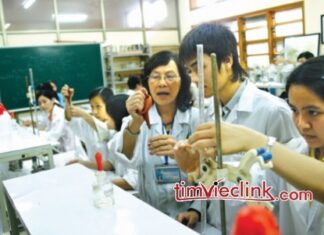 Đại học nghề, xu hướng tương lai