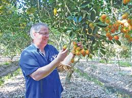 Marketing với “Dr. Z”