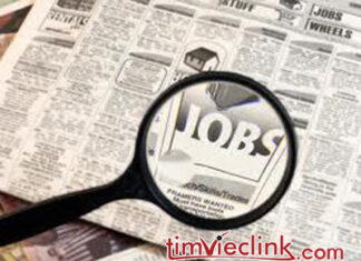 Cẩm nang tìm việc cho sinh viên mới tốt nghiệp