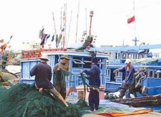 Ngư dân Cà Mau trúng đậm vụ khai thác biển