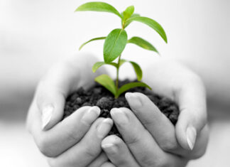 Bí quyết huấn luyện hiệu quả