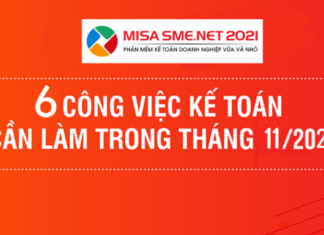 công việc kế toán 11/2020