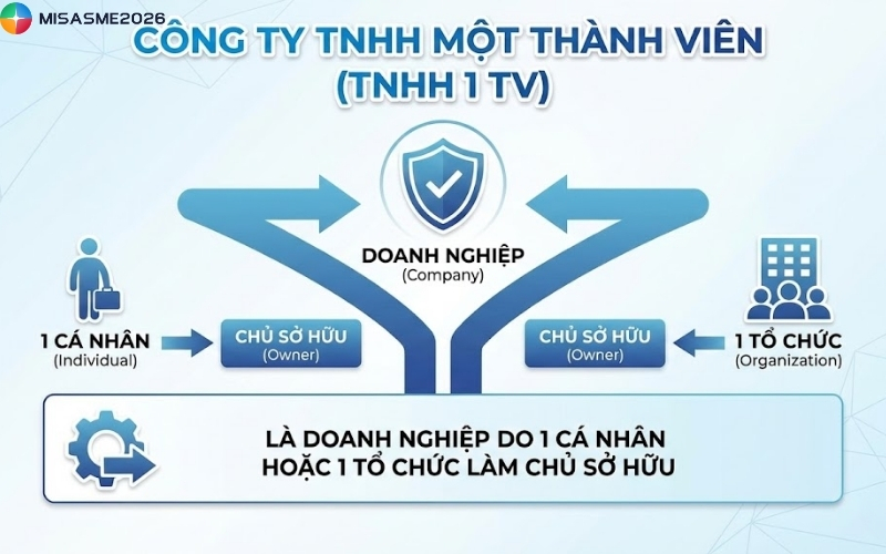 cơ cấu tổ chức công ty trách nhiệm hữu hạn một thành viên